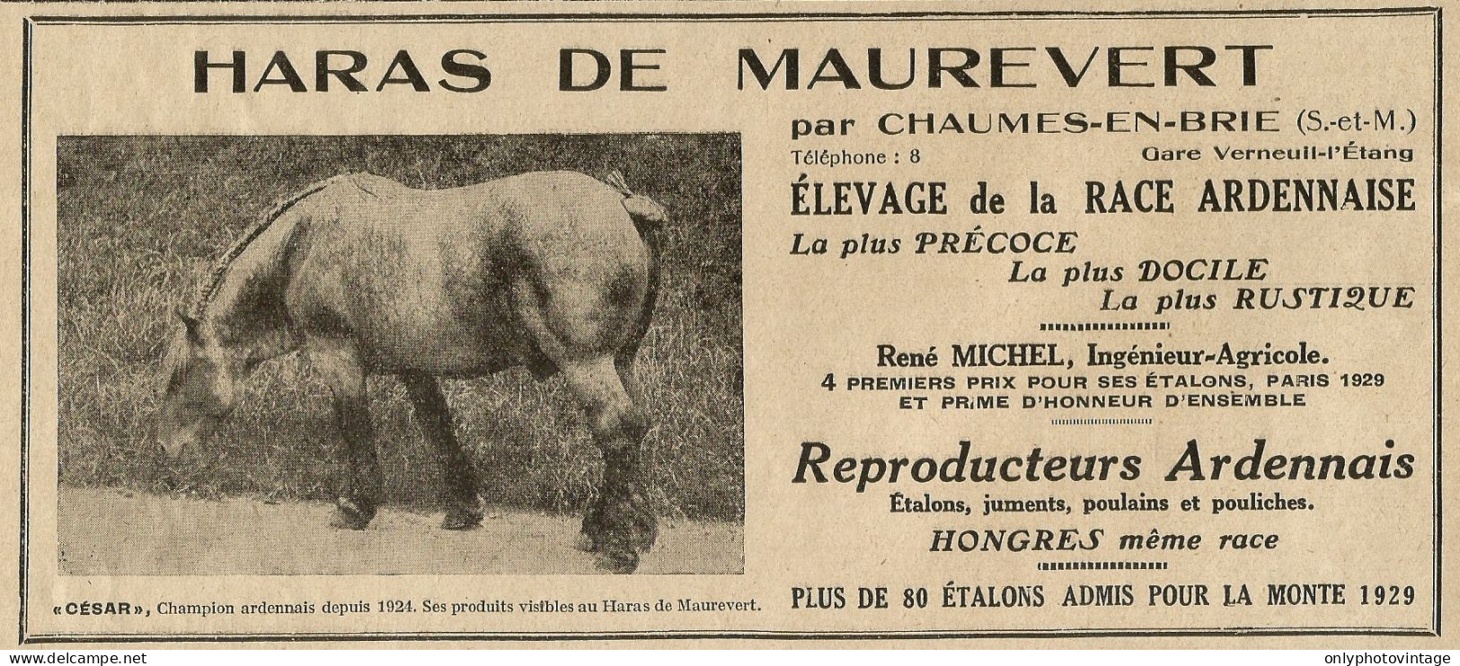 HARAS DE MAUREVERT Par Chaumes En Brie - Pubblicità 1929 - Advertising - Advertising