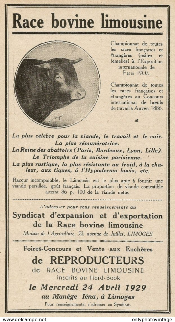 Race Bovine Limousine - LIMOGES - Pubblicità 1929 - Advertising - Publicidad