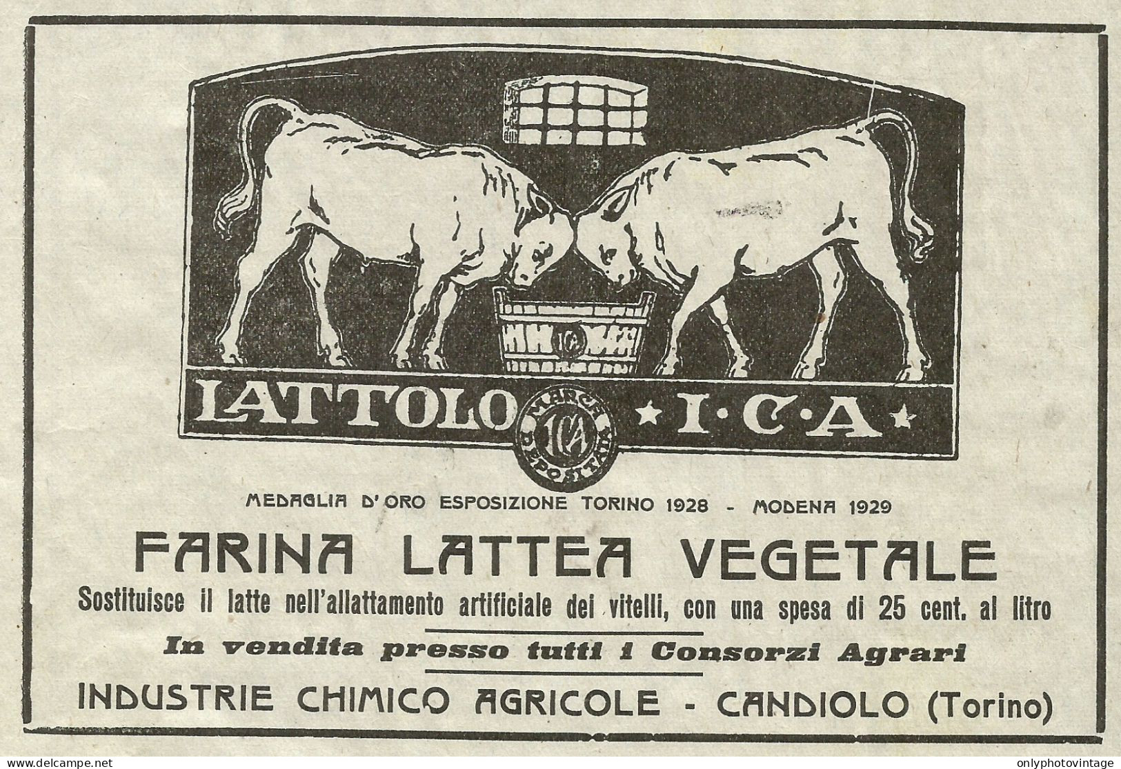 Lattolo ICA - Farina Lattea Vegetale - Pubblicità 1934 - Advertising - Advertising