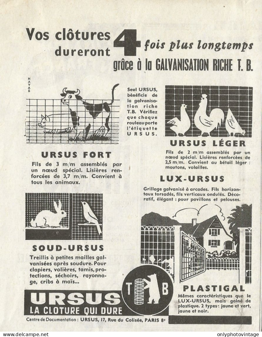 URSUS La Cloture Qui Dure - Pubblicità 1961 - Advertising - Advertising