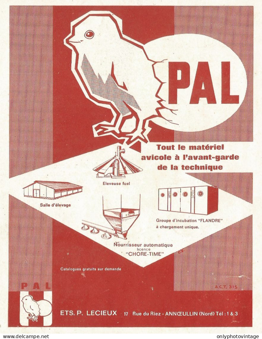 Materiale Avicolo PAL - Annceullin - Pubblicità 1962 - Advertising - Advertising