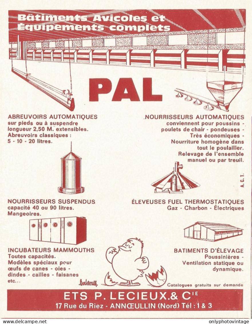 Equipaggiamento Avicolo PAL - Annceullin - Pubblicità 1963 - Advertising - Advertising