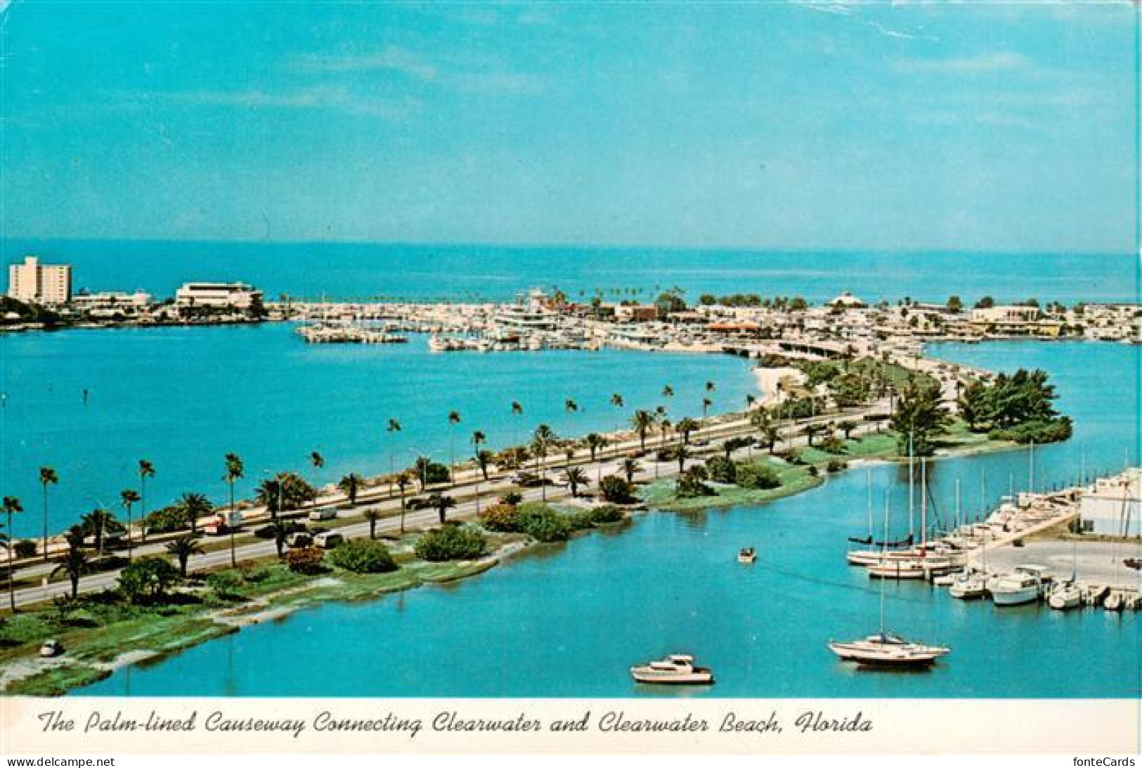 73917429 Largo_Florida_USA The Palm Lined Causeway Connecting Clearwater And Cle - Altri & Non Classificati