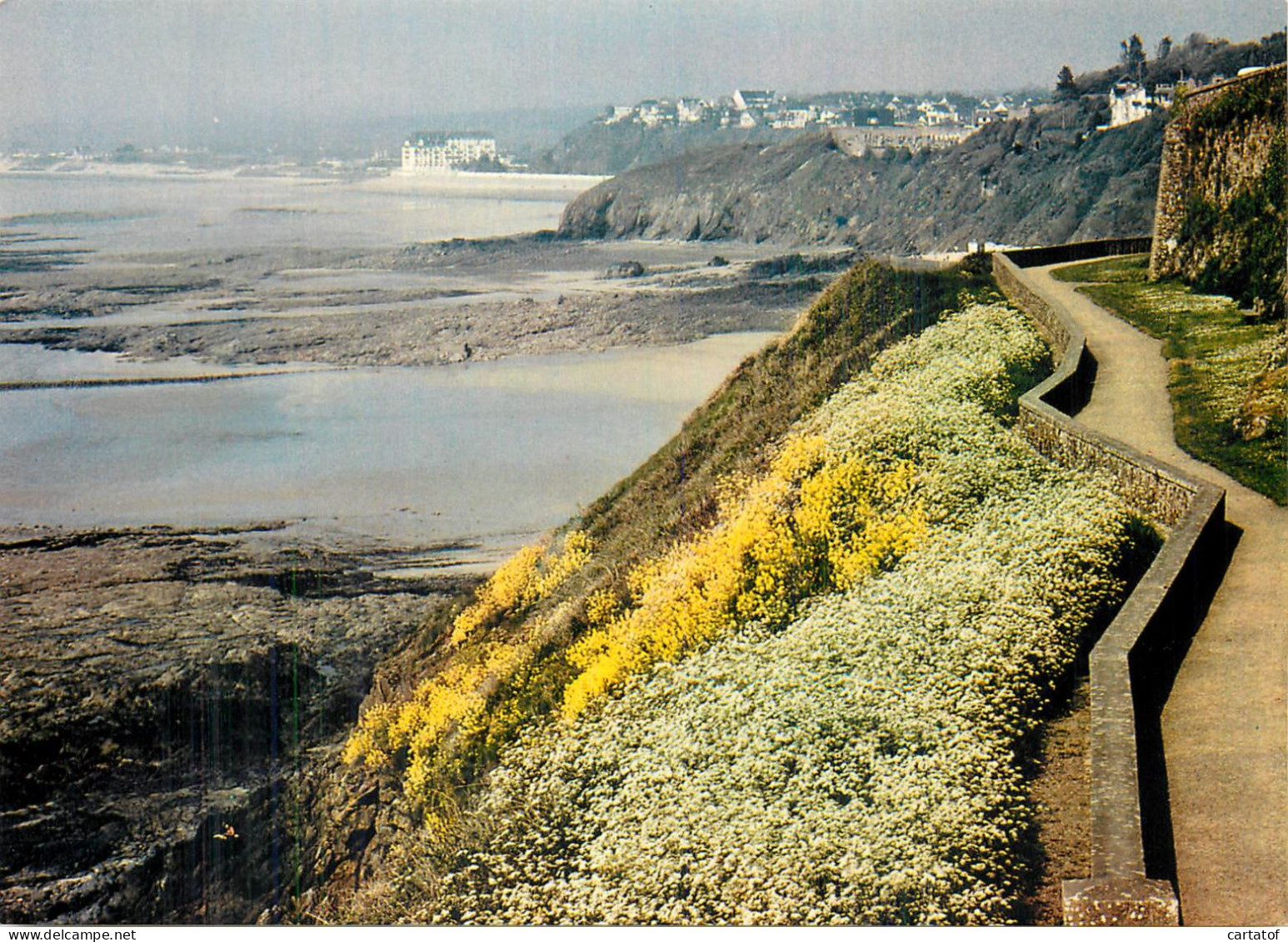 GRANVILLE . Panorama Sur La Côte à Marée Basse - Granville