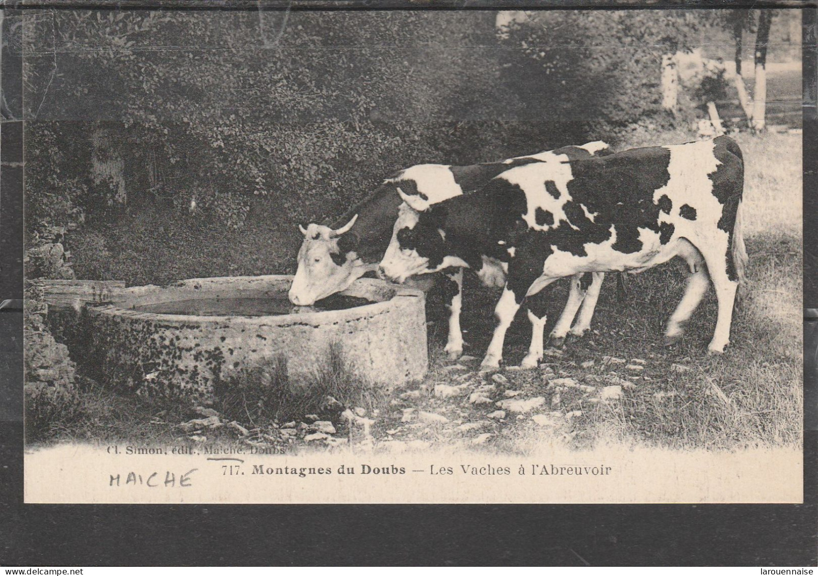 25 - MAICHE - Montagnes Du Doubs - Les Vaches à L' Abreuvoir - Andere & Zonder Classificatie