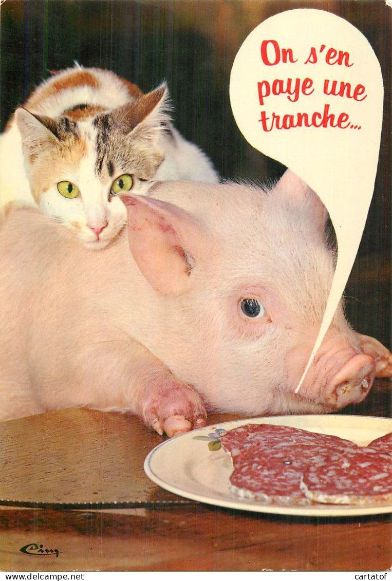 On S'en Paye Une Tranche . HUMOUR HUMORISTIQUES Cochon Et Chat . - Humour