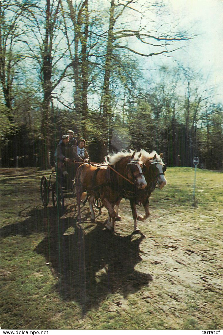 Concours D'attelage .  Photo J. Alix - Autres & Non Classés