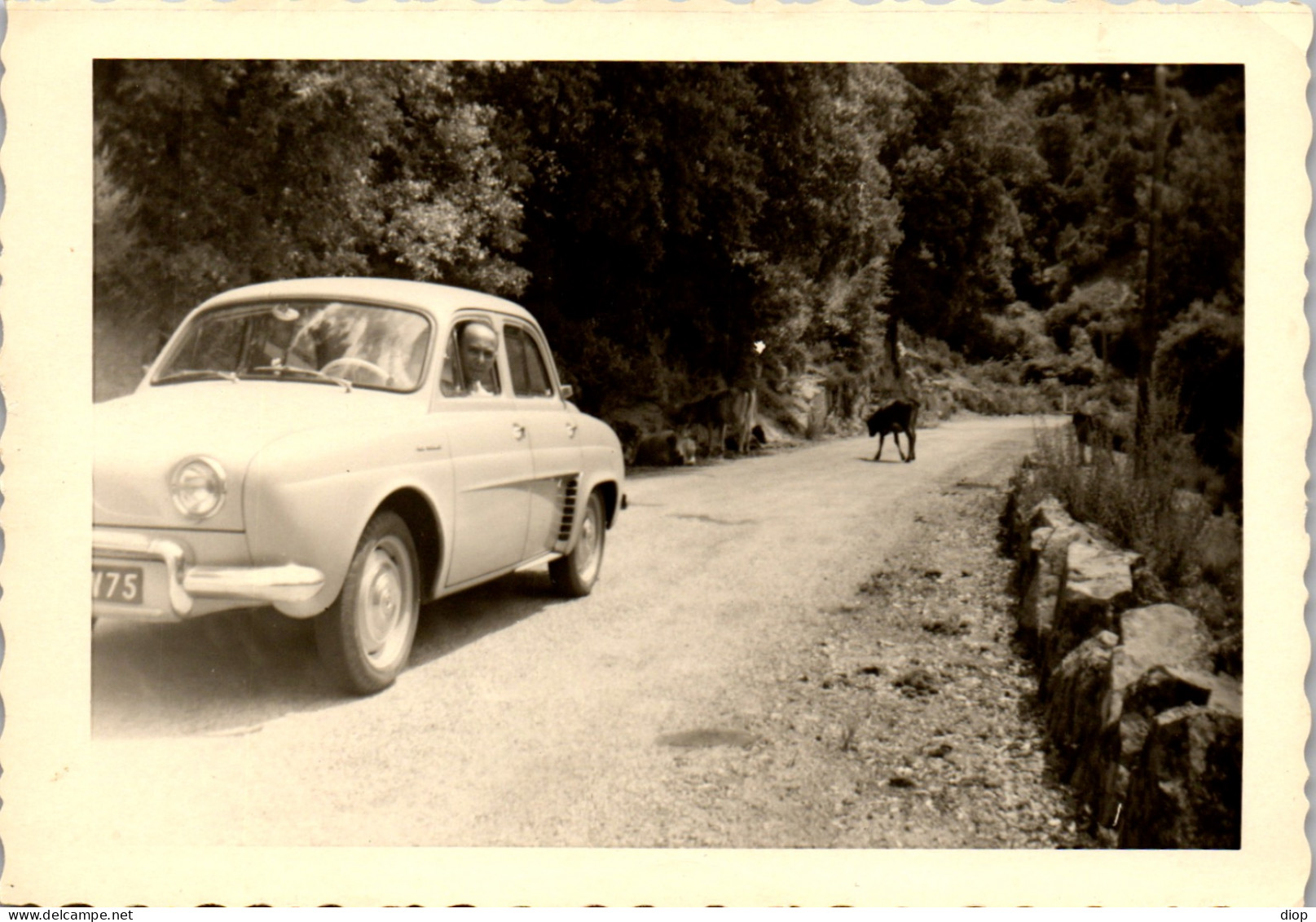 Photographie Photo Vintage Snapshot Amateur Automobile Voiture Auto  Renault  - Automobile