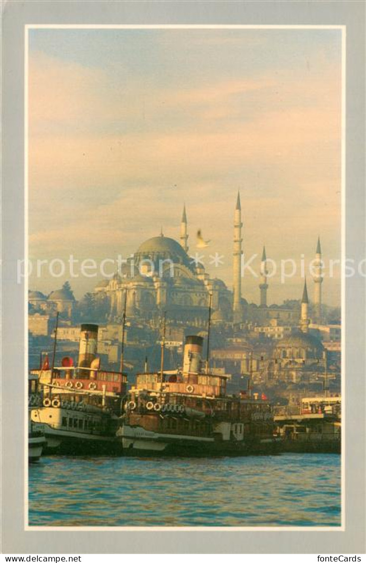 73782389 Istanbul Constantinopel TK Sueleymaniye Mosque  - Turkey