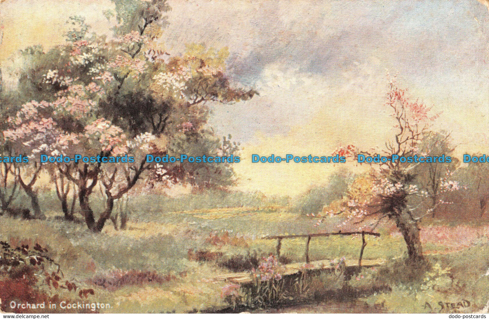 R096702 Orchard In Cockington. B. B. London - Autres & Non Classés