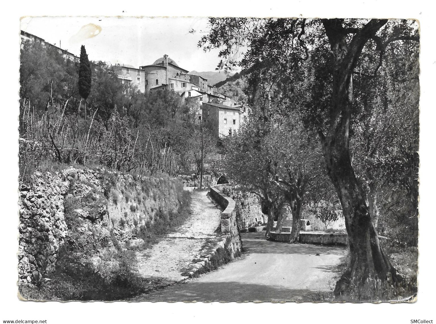 Peille, Chemin Du Moulin à Huile (4094) - Andere & Zonder Classificatie