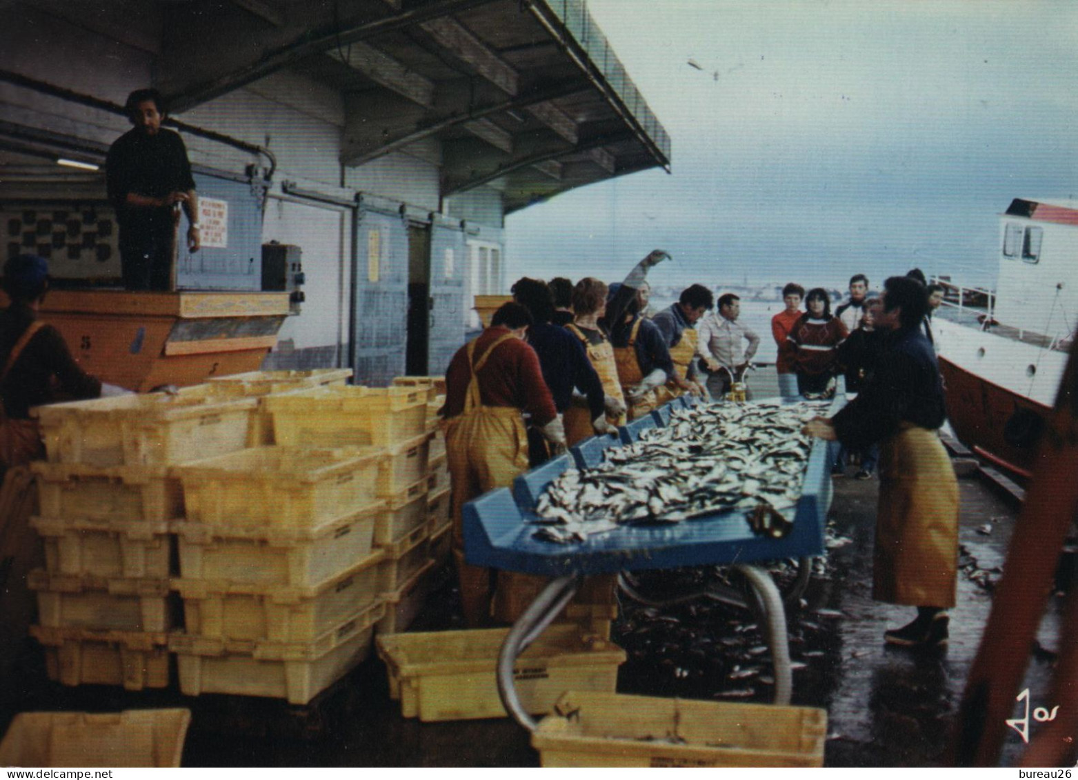 LORIENT Le Tri Du Poisson Au Port De Pêche éditeur Jos Le Doaré MX 5623 - Lorient