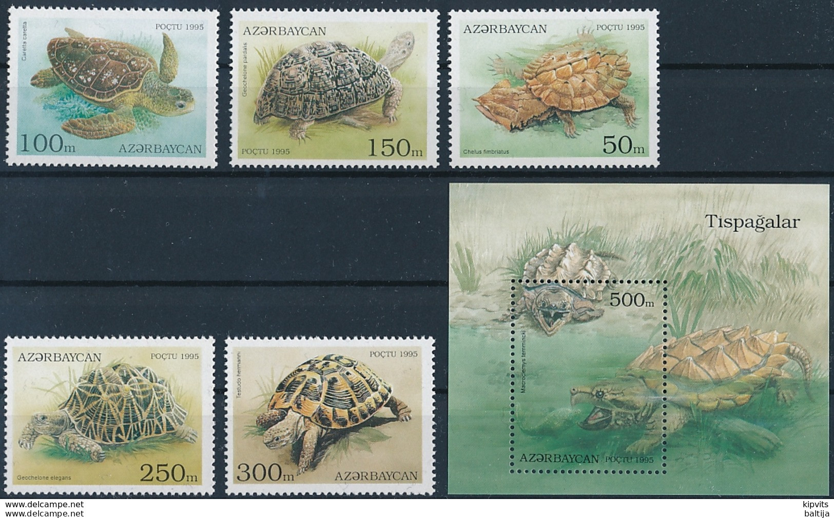 Mi 223-27 + Block 13 MNH ** Reptile / Mata Mata, Loggerhead, Hermann's Tortoise, Alligator Snapping Turtle - Aserbaidschan