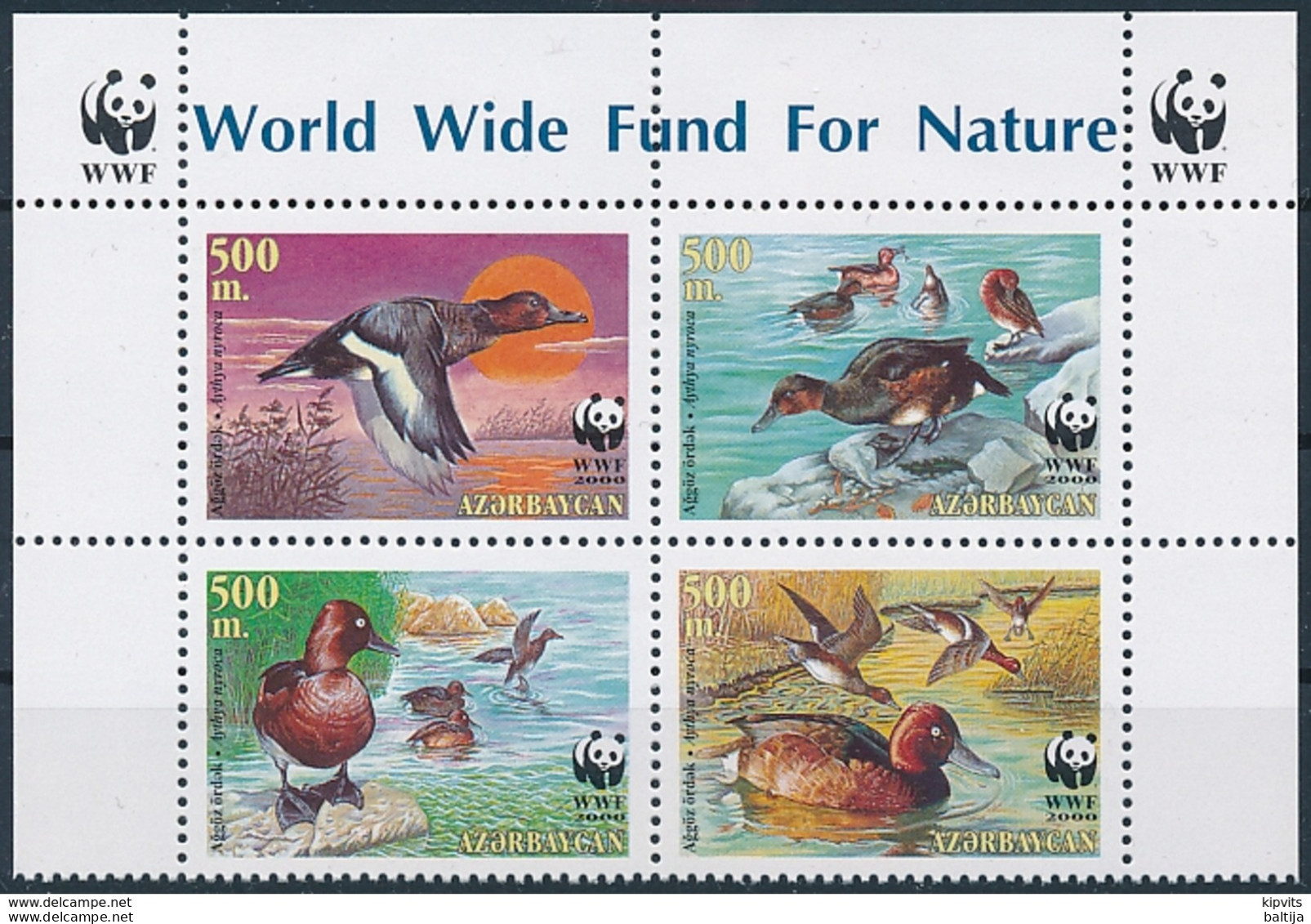 Mi 474-77 MNH ** / WWF World Wildlife Fund - Birds, Duck, Ferruginous Pochard, Common White-eye - Aserbaidschan