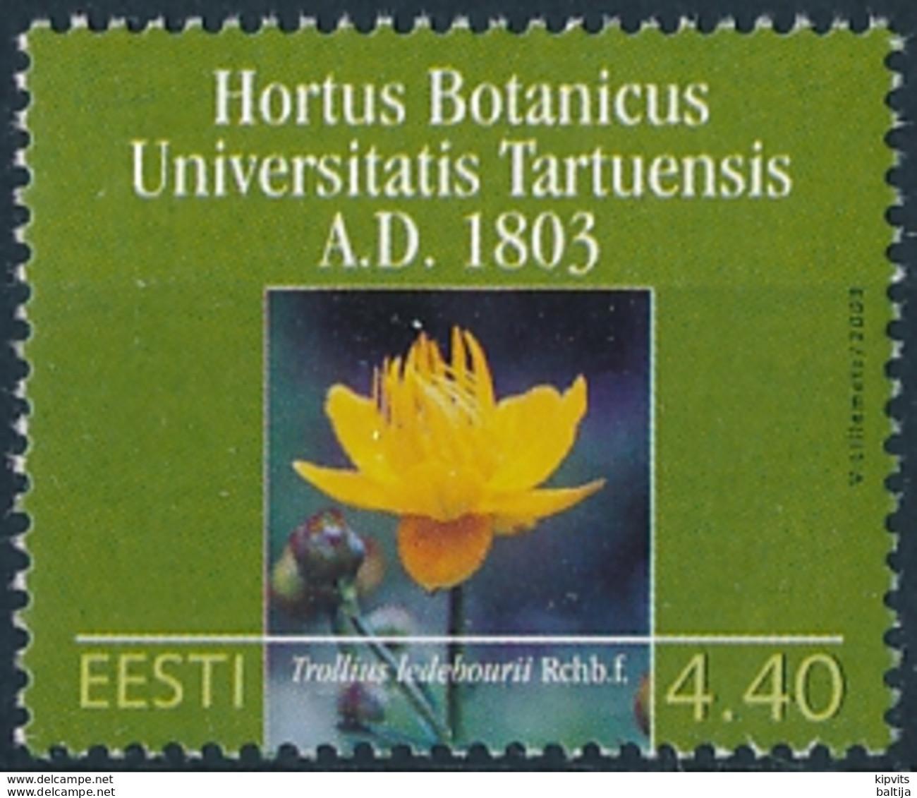 Mi 464 MNH ** Botanical Garten Of Tartu University 200th Anniversary / Flower Trollius Ledebourii - Estonia