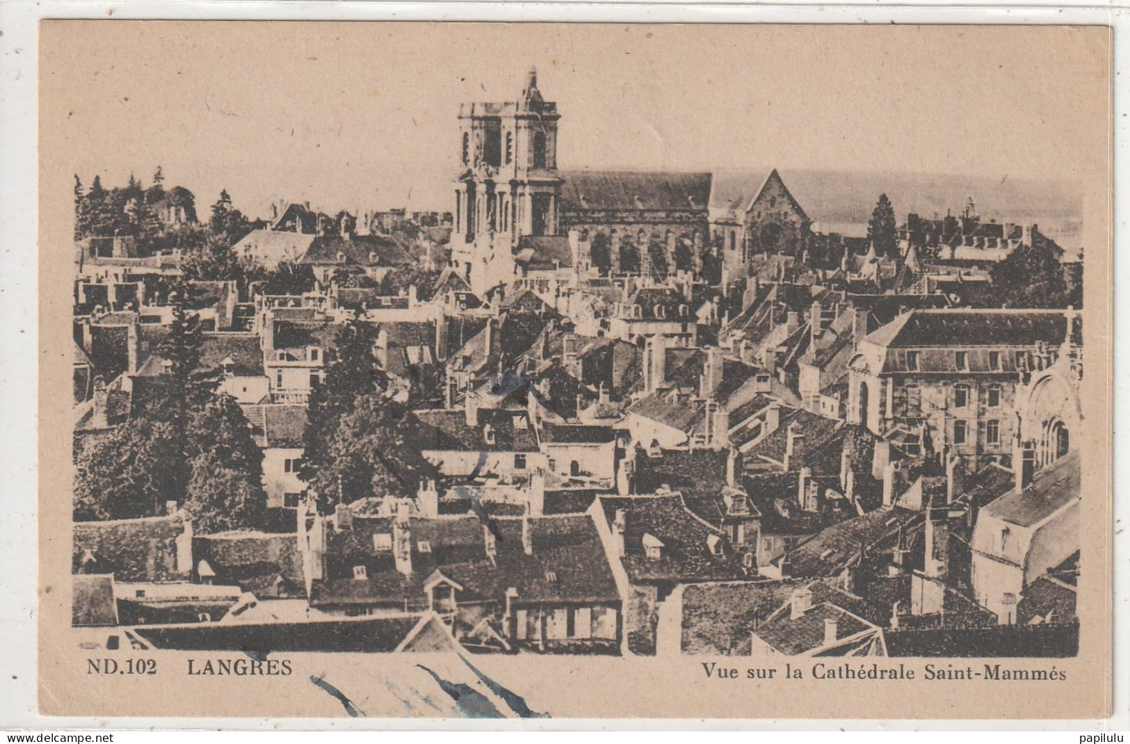 46 DEPT 52 : édit. N D N° 102 : Langres Vue Sur La Cathédrale Saint Mammès - Langres