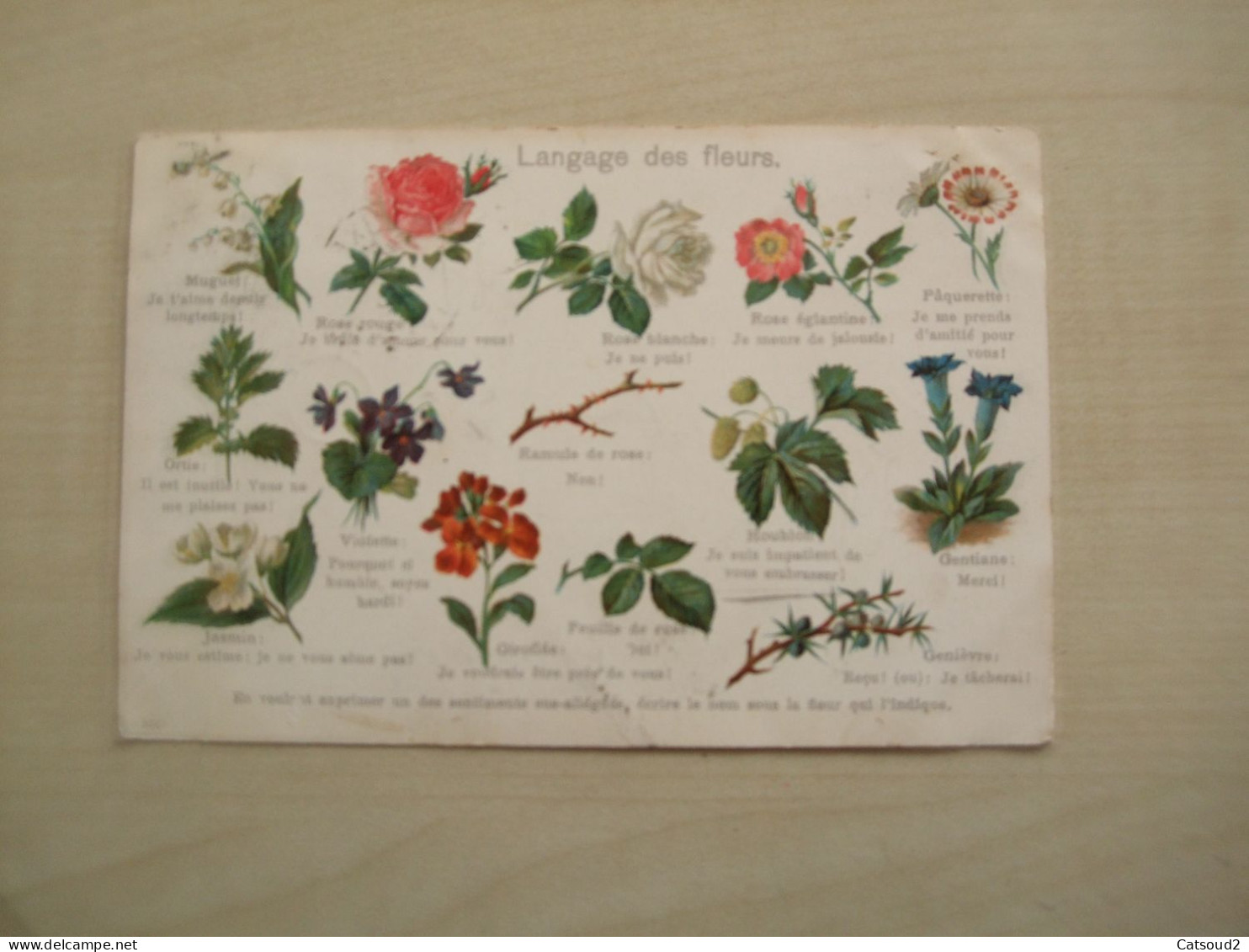 Carte Postale Ancienne 1906 LANGAGE DES FLEURS - Bloemen