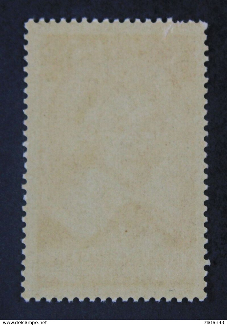 RICHELIEU YT N°305 NEUF** - Unused Stamps