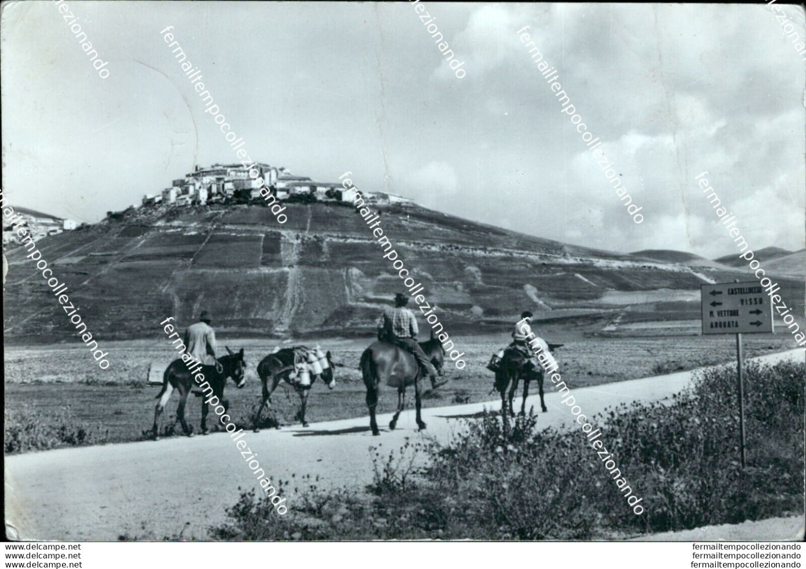 Ae703 Cartolina Castelluccio Di Norcia  Provincia Di Perugia Varie Pieghe - Perugia