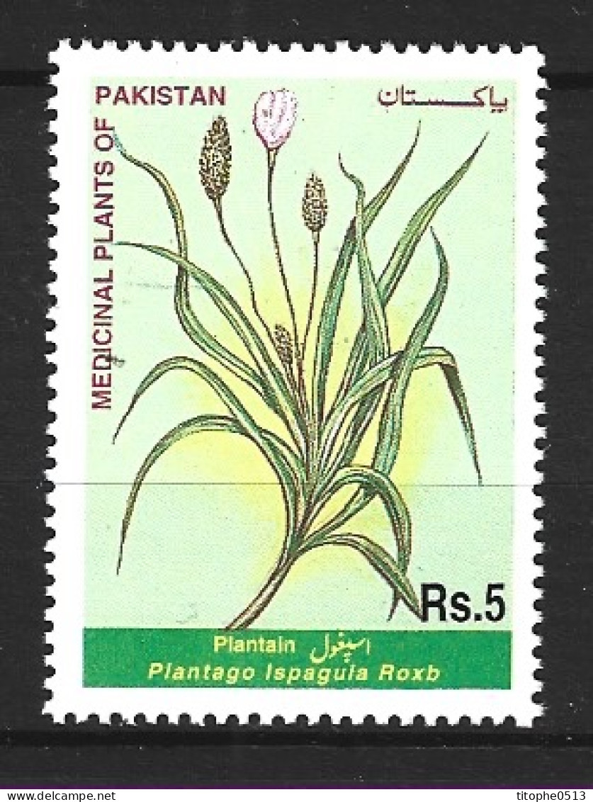 PAKISTAN. N°1017 De 1999. Plantain. - Geneeskrachtige Planten