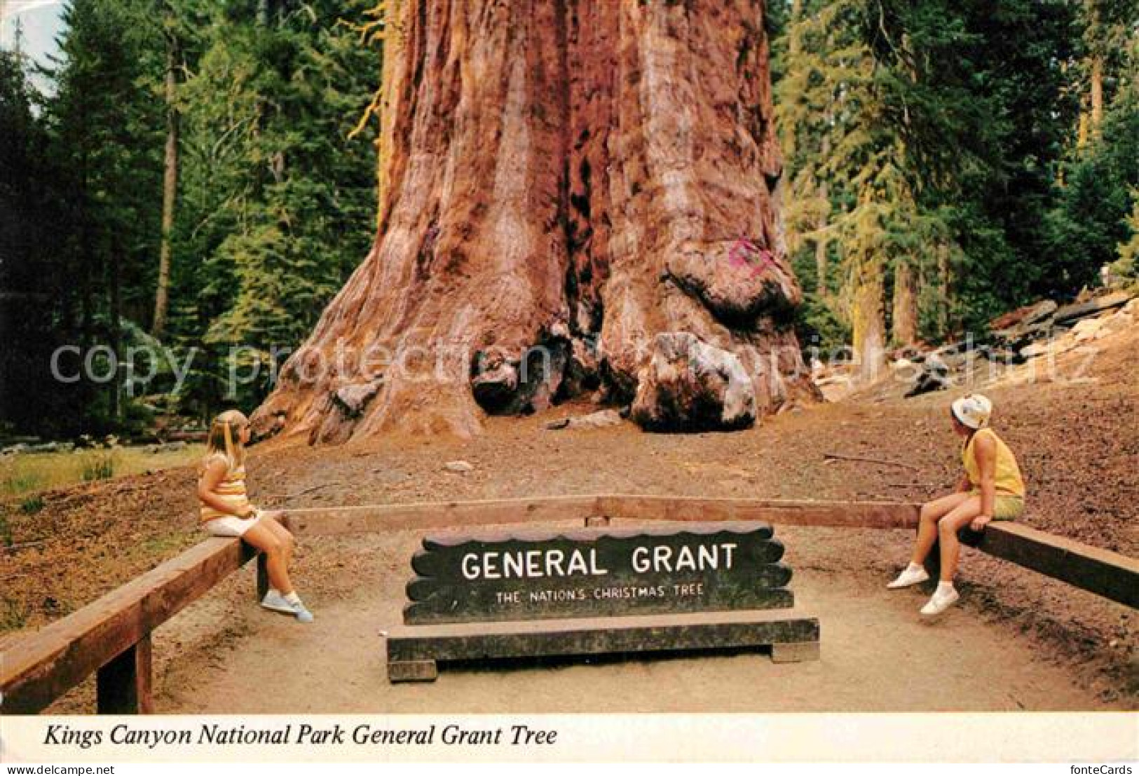 72903734 Kings_Canyon_National_Pk General Grant Tree - Otros & Sin Clasificación