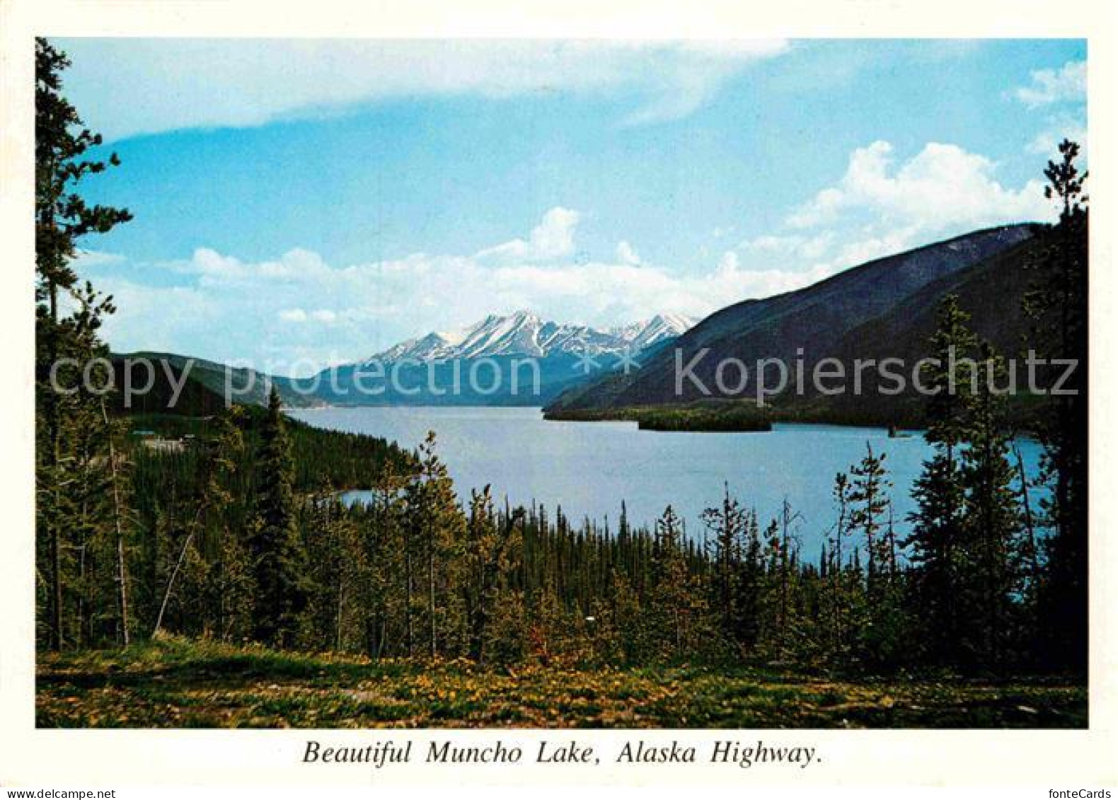 72898222 Alaska_US-State Muncho Lake  - Other & Unclassified