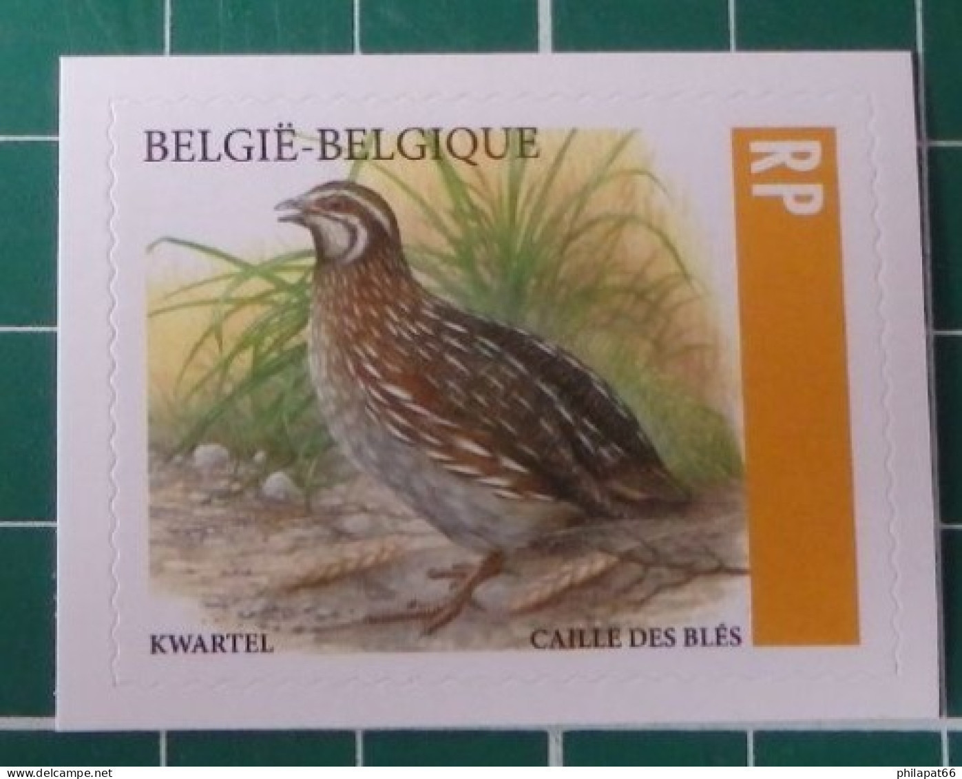 Kwartel 2023 - 1985-.. Oiseaux (Buzin)