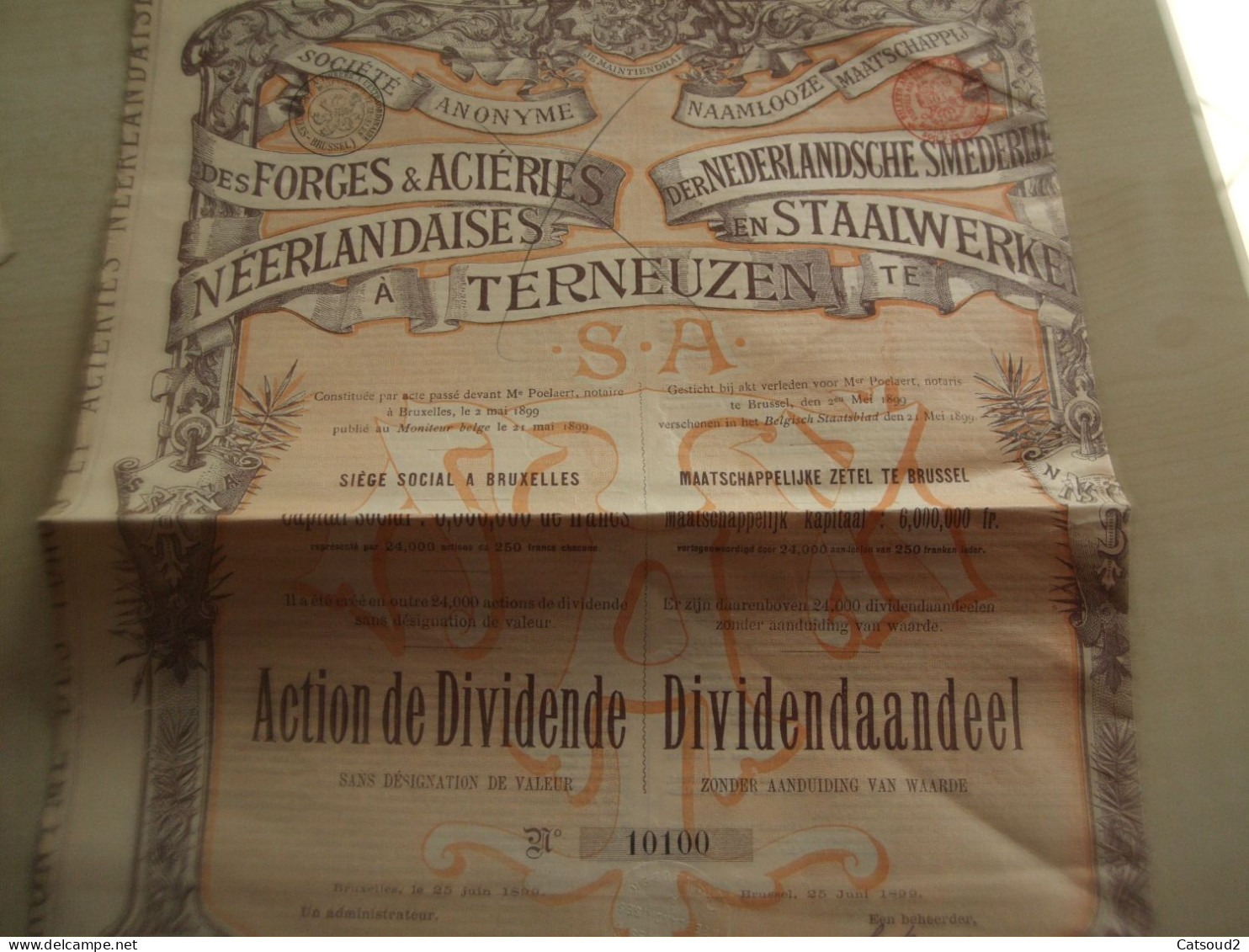 Ancienne Action 1899 FORGES ET ACIERIES NEERLANDAISES A TERNEUZEN - Andere & Zonder Classificatie