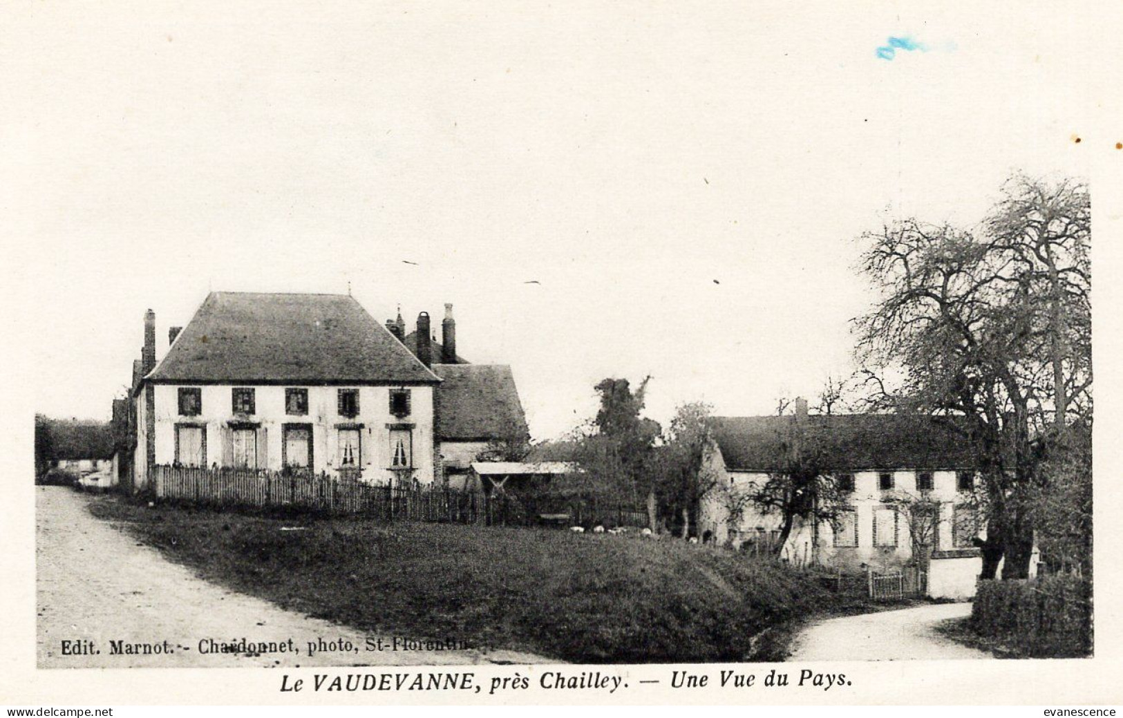 89 :  Le Vaudevanne Près Chailley : Le Pays  ///  Ref. Mai 24 ///  N° 29.706 - Autres & Non Classés