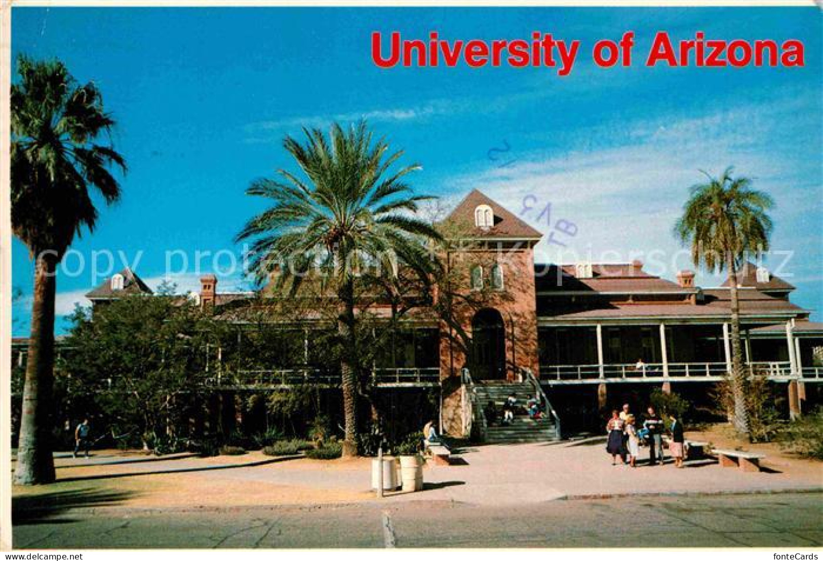 72886634 Tucson University Of Arizona Tucson - Sonstige & Ohne Zuordnung