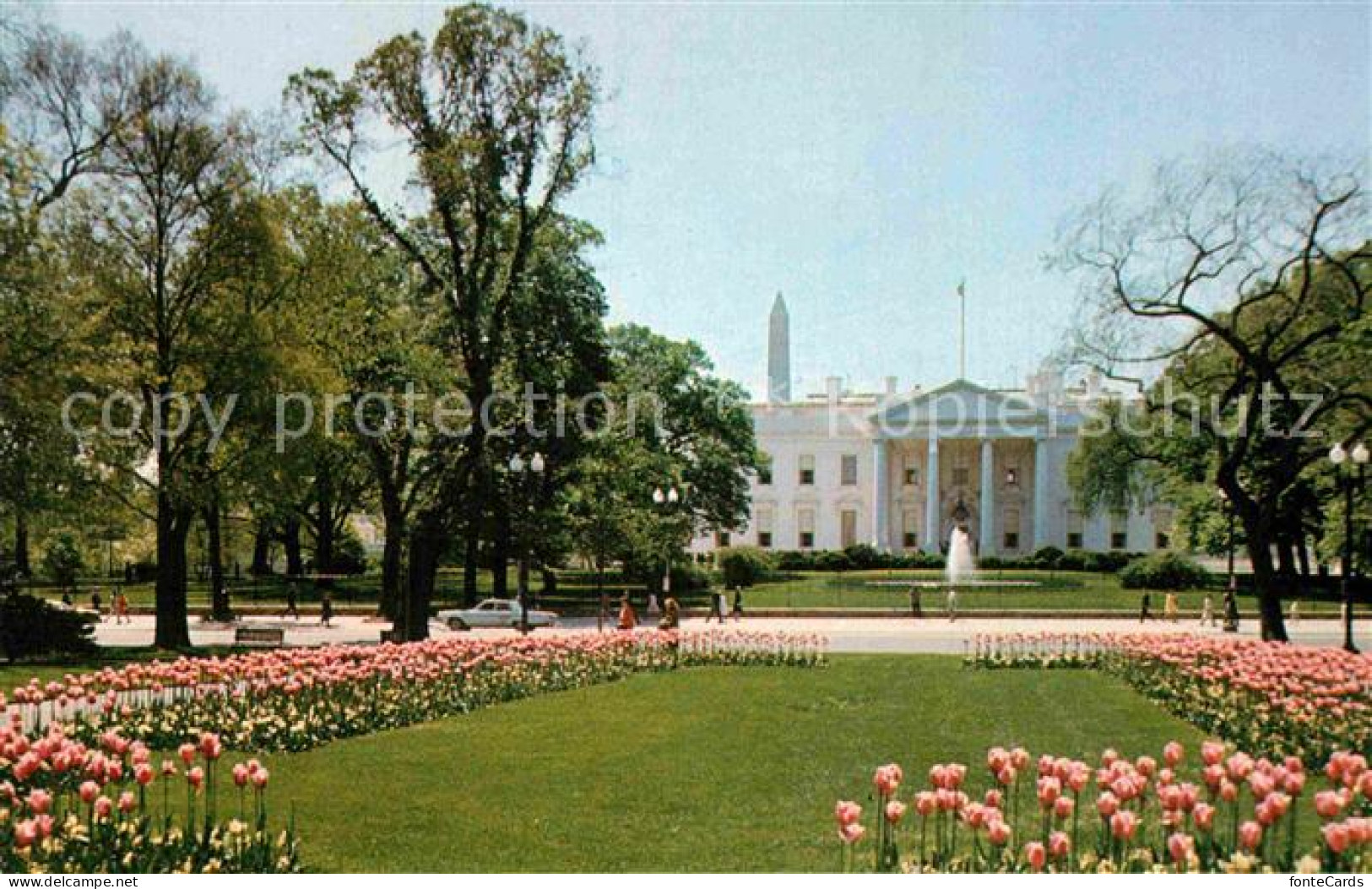 72885105 Washington DC White House Weisses Haus  - Washington DC