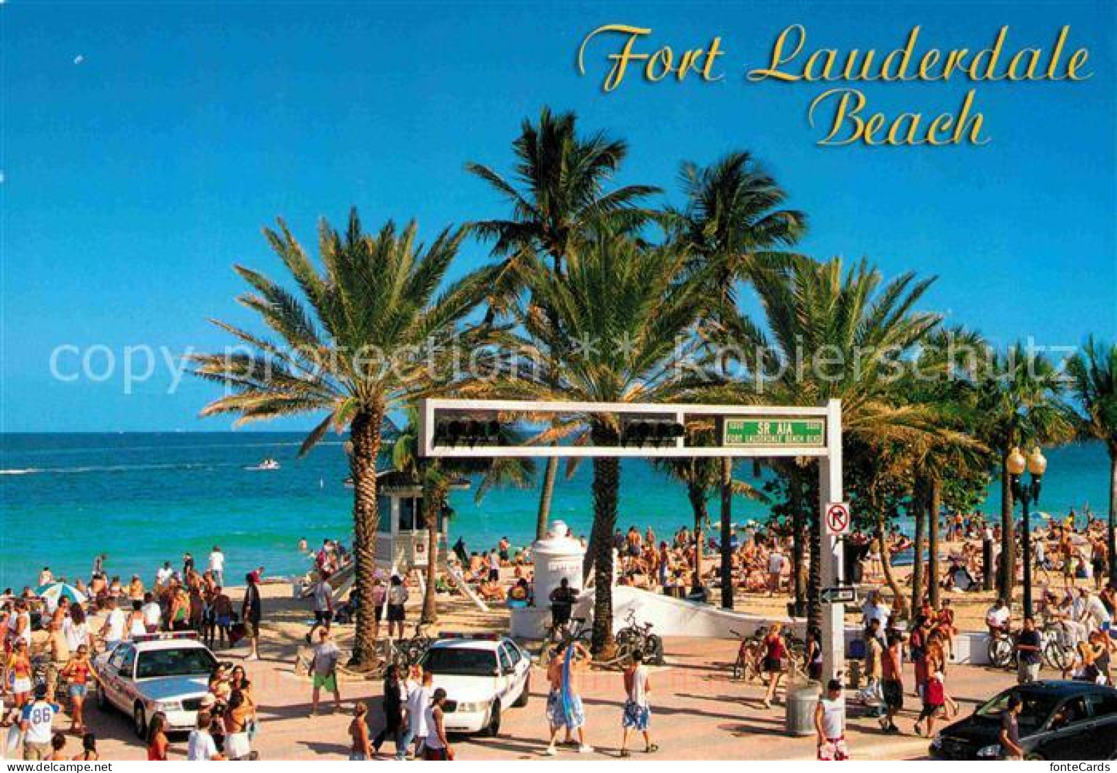 72884005 Fort_Lauderdale Beach Palm Trees - Sonstige & Ohne Zuordnung