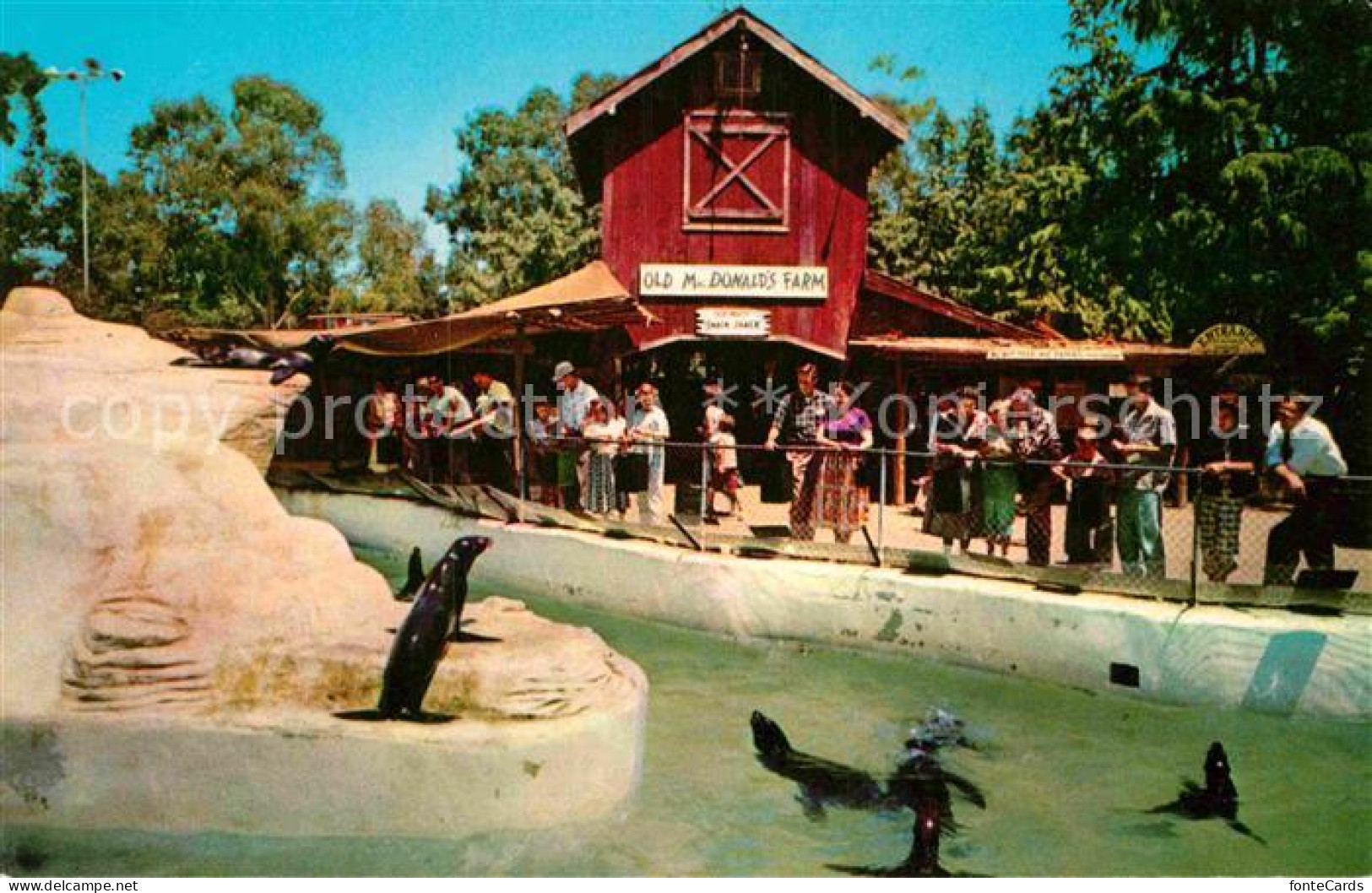 72877100 Buena_Park Seal Pool And Old Mac Donalds Farm Knotts Berry Farm Ghost T - Other & Unclassified