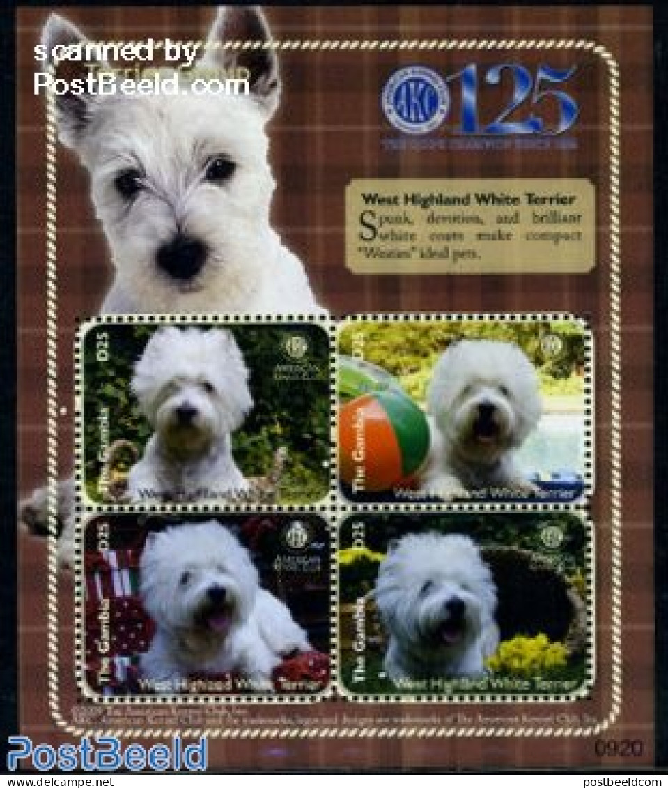 Gambia 2009 West Highland White Terrier 4v M/s, Mint NH, Nature - Dogs - Gambia (...-1964)