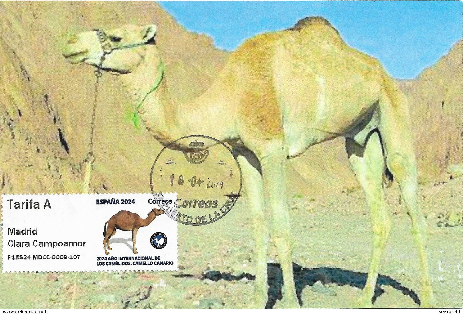 SPAIN. MAXICARD. CAMEL. 2024. ATM - Maximum Kaarten