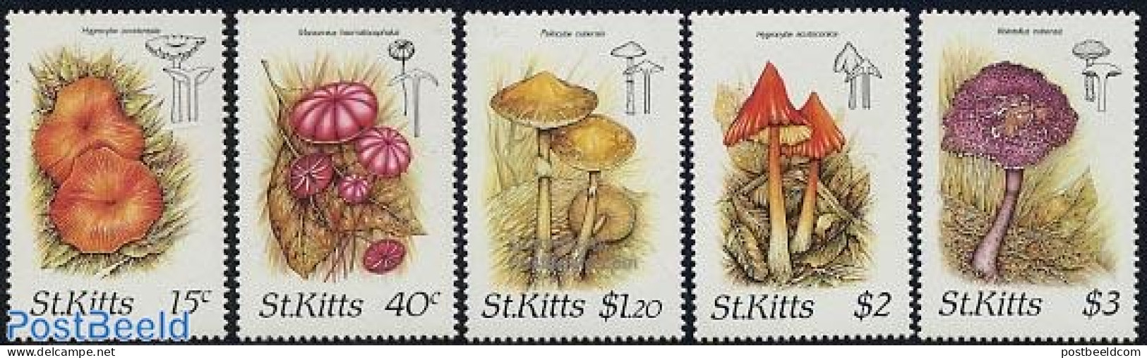Saint Kitts/Nevis 1987 Mushrooms 5v, Mint NH, Nature - Mushrooms - Champignons
