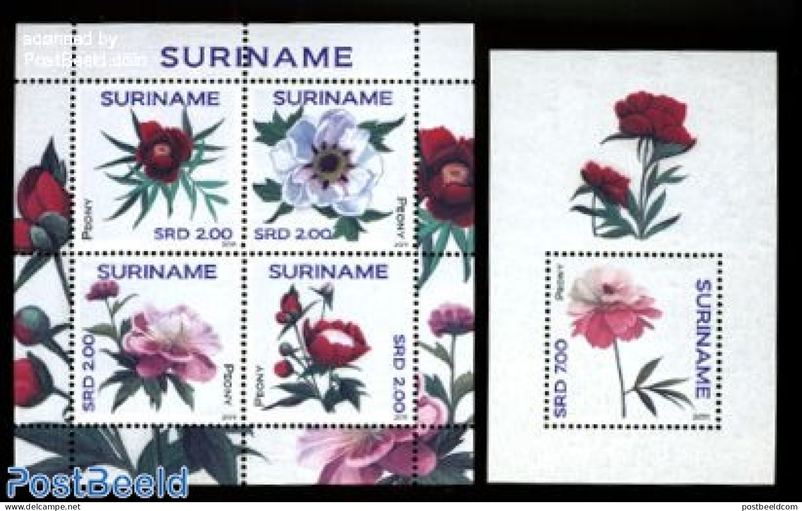 Suriname, Republic 2011 Peonies 2 S/s, Mint NH, Nature - Flowers & Plants - Surinam