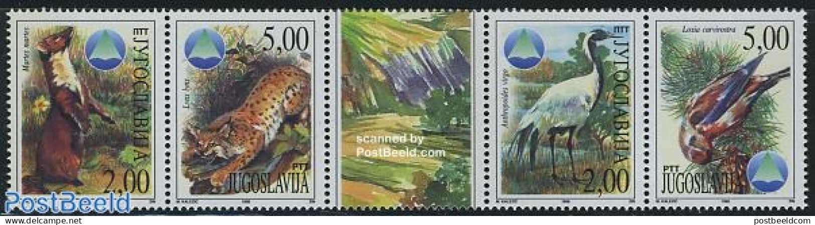 Yugoslavia 1998 Protected Animals 4v+tab [::T::] (tab May Vary), Mint NH, Nature - Animals (others & Mixed) - Birds - .. - Ongebruikt