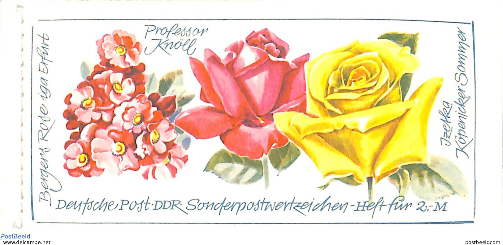 Germany, DDR 1972 Roses Booklet, Mint NH, Nature - Flowers & Plants - Roses - Stamp Booklets - Ungebraucht