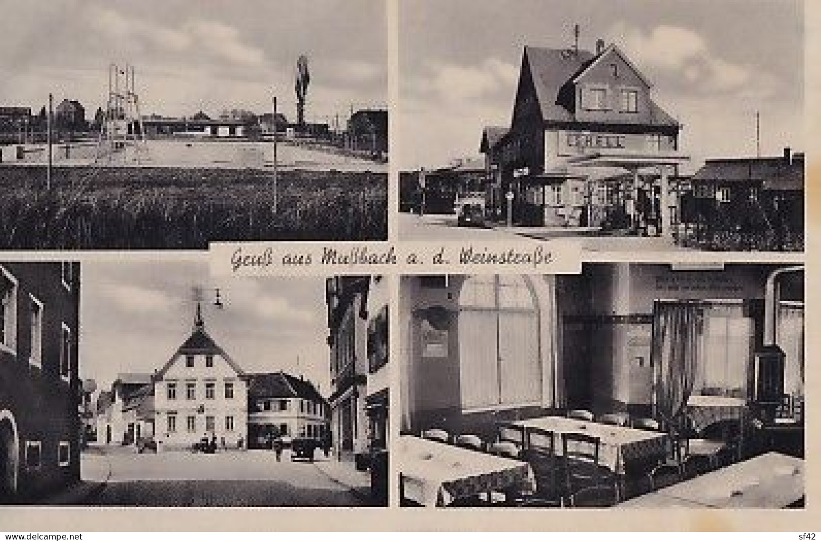 GRUSS AUS MUSSBACH A D WEINSTRASSE - Autres & Non Classés