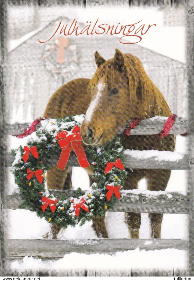 Horse - Cheval - Paard - Pferd - Cavallo - Cavalo - Caballo - Häst - Finland - Christmas Greetings - Chevaux