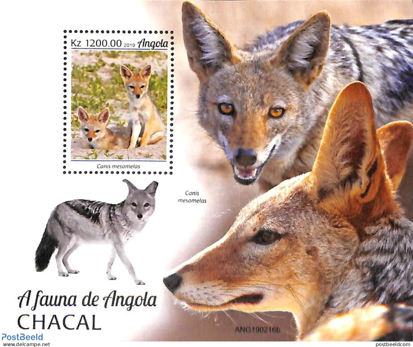 Angola 2019 Jackal S/s, Mint NH, Nature - Animals (others & Mixed) - Wild Mammals - Angola