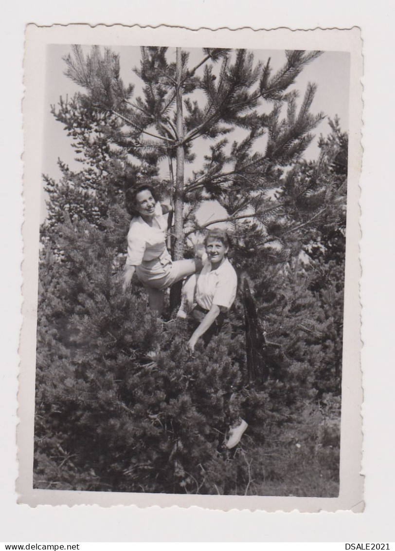 Two Young Women Pose Climbed On Tree, Scene, Vintage Orig Photo 6x8.5cm. (52501) - Anonieme Personen