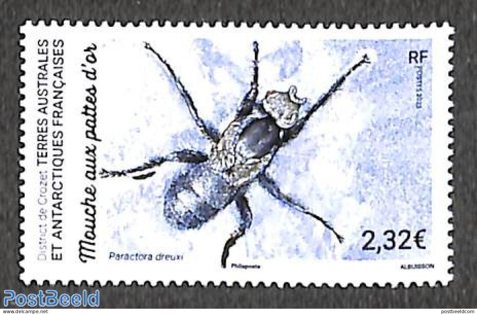 French Antarctic Territory 2023 Golden-legged Fly 1v, Mint NH, Nature - Insects - Nuevos