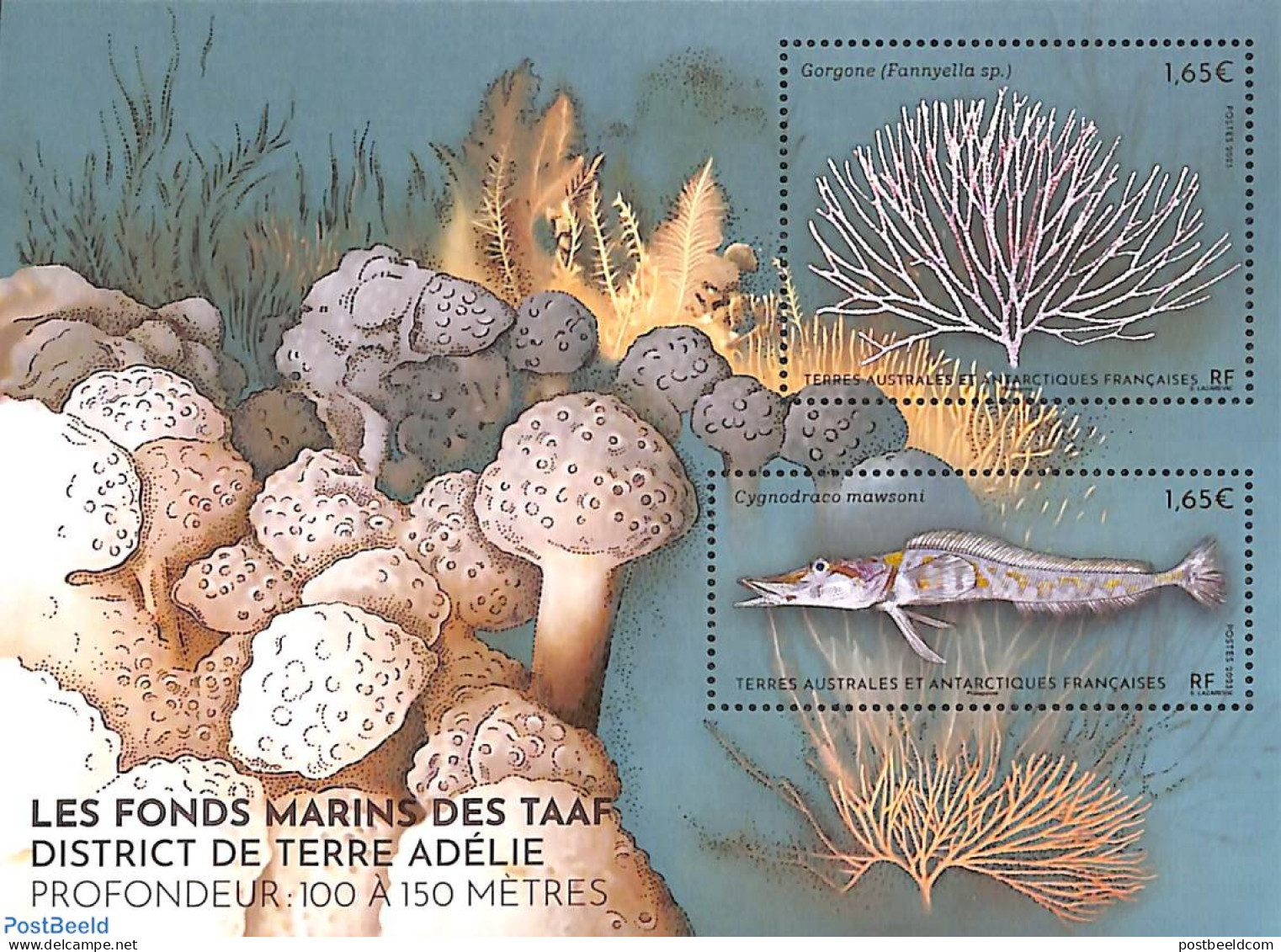 French Antarctic Territory 2023 Deepsea S/s, Mint NH, Nature - Fish - Corals - Ongebruikt