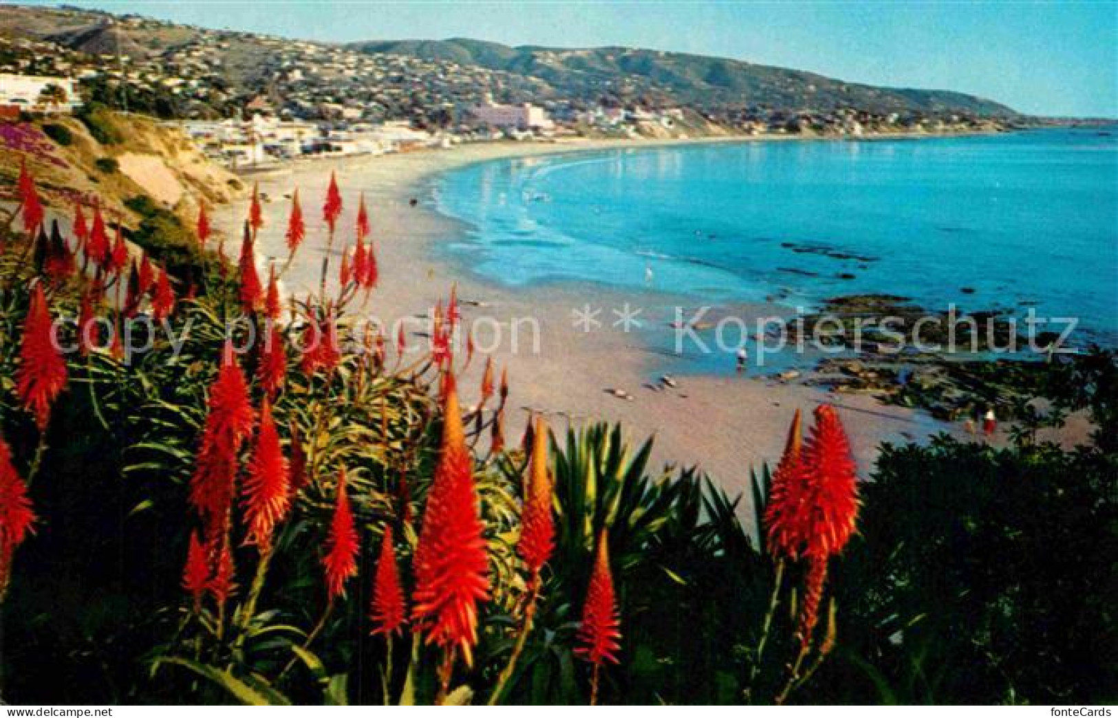 72848166 Laguna_Beach Panorama  - Sonstige & Ohne Zuordnung