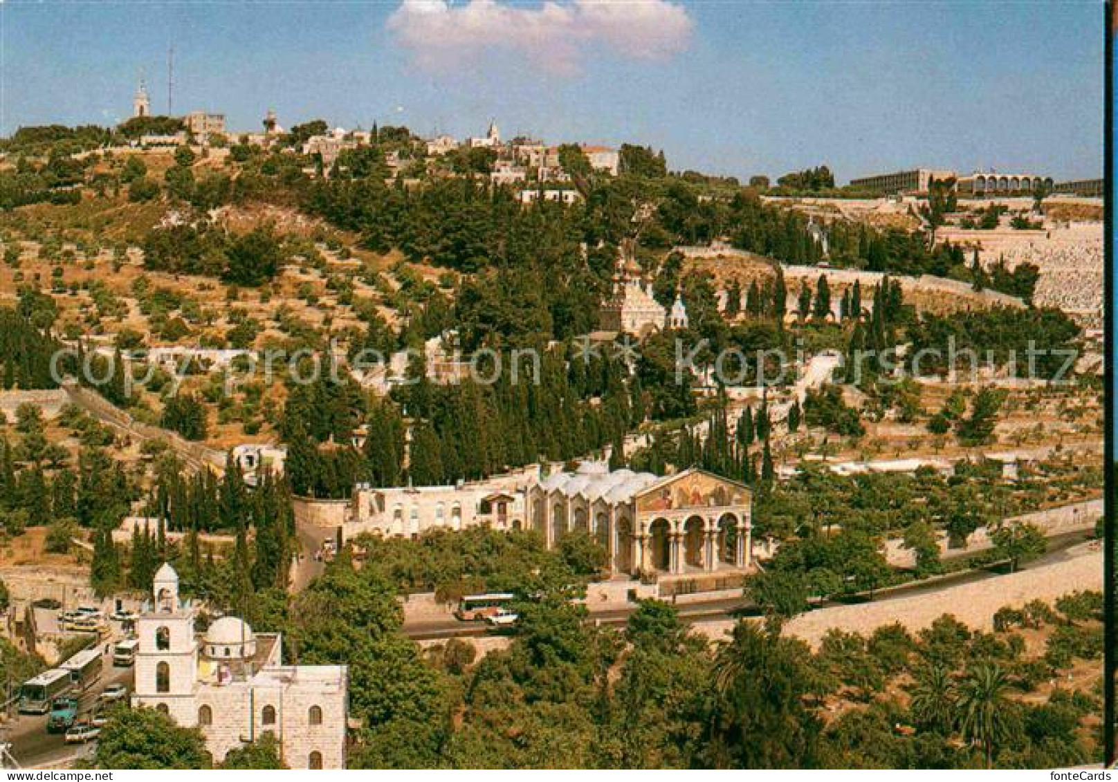 72846248 Jerusalem Yerushalayim Garden Of Gethsemane Israel - Israel