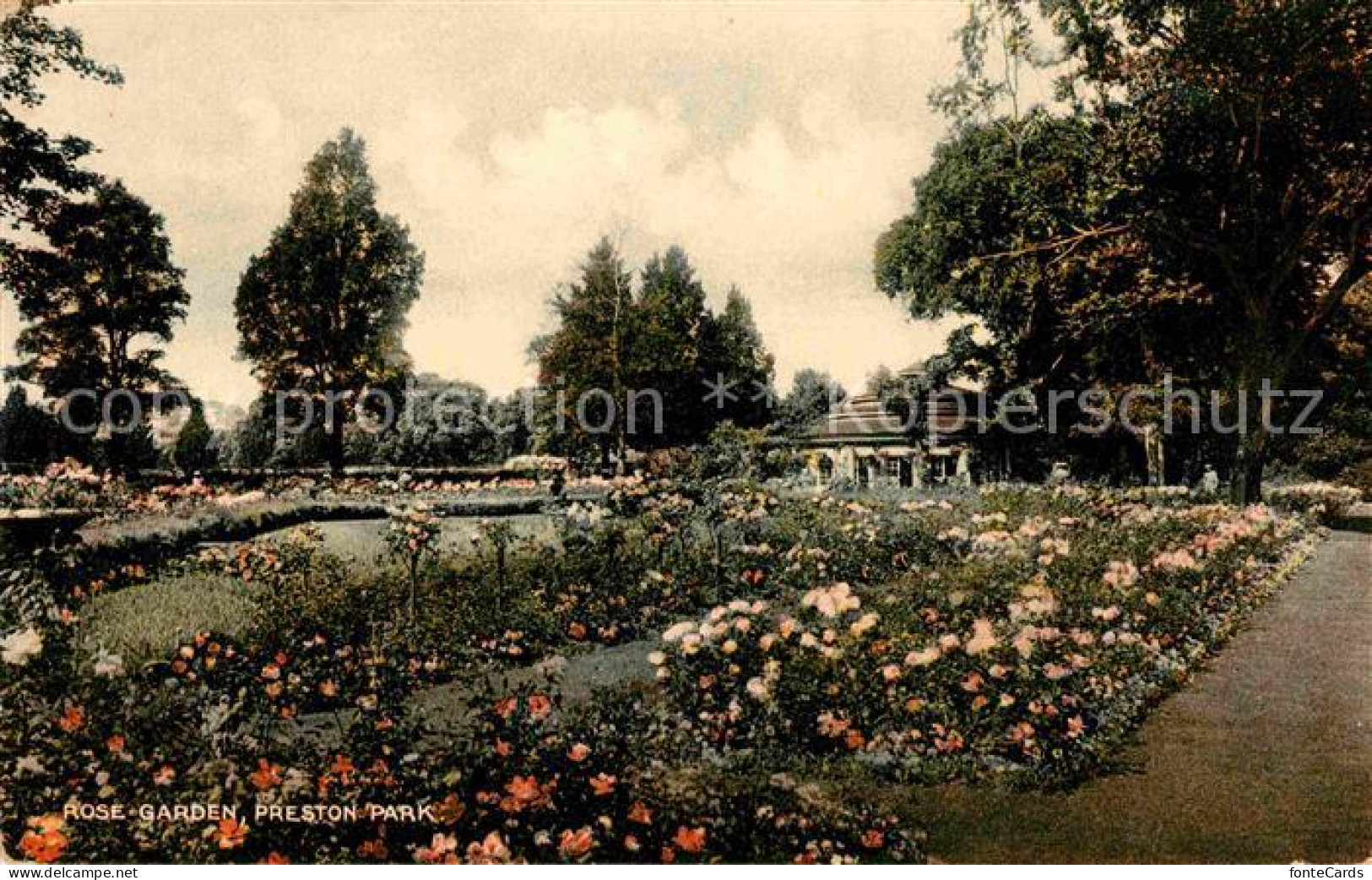 72819033 Preston_Brent Rose Garden - Other & Unclassified