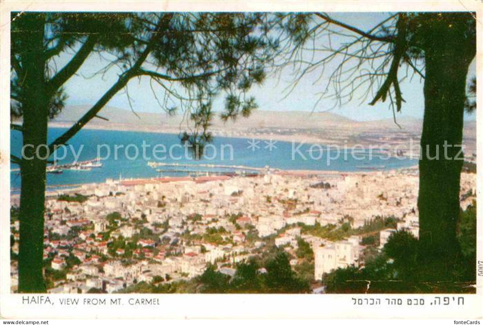 72818385 Haifa Panorama View From Mount Carmel  - Israel