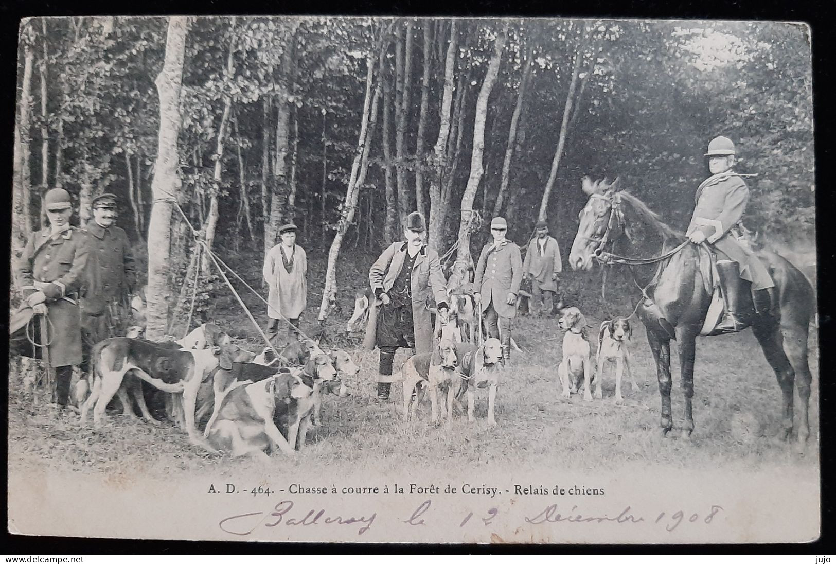 50 - Chasse à Courre à La Foret De Cerisy - Relais De Chiens - Autres & Non Classés